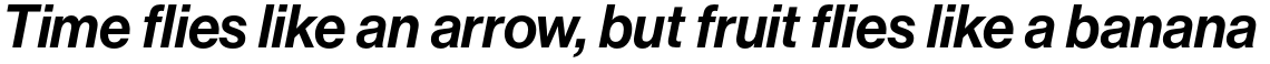 Neue Haas Grotesk Std Display 66 Medium Italic