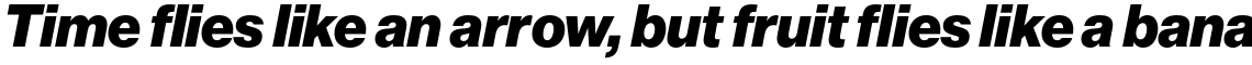 Neue Haas Grotesk Std Display 96 Black Italic
