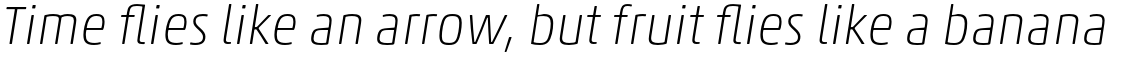 Akko Std Thin Italic
