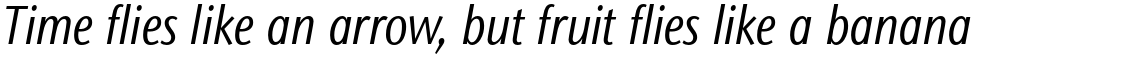 ITC Stone Sans II Std Condensed Book Italic