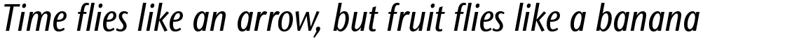 ITC Stone Sans II Std Condensed Medium Italic