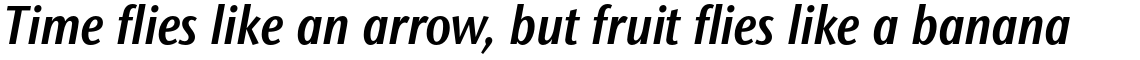 ITC Stone Sans II Std Condensed Semibold Italic
