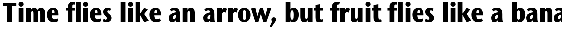 ITC Stone Sans II Std Condensed Extra Bold