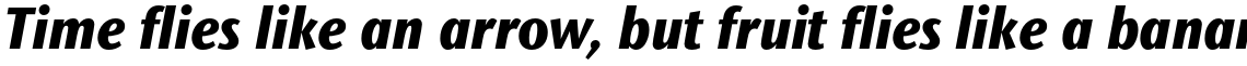 ITC Stone Sans II Std Condensed Extra Bold Italic