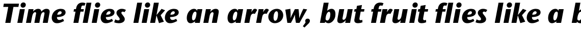 ITC Stone Sans II Std Extra Bold Italic