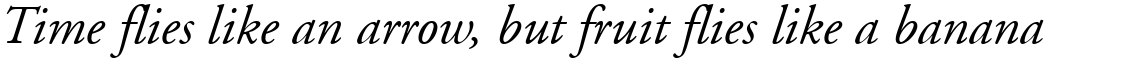 Adobe Garamond Complete Family Pack