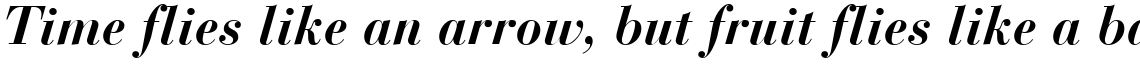 Bauer Bodoni Complete Family Pack