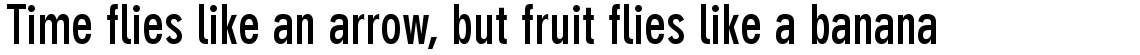 DIN Neuzeit Grotesk Complete Family Pack