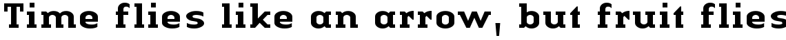 Linotype Authentic Serif Complete Family Pack