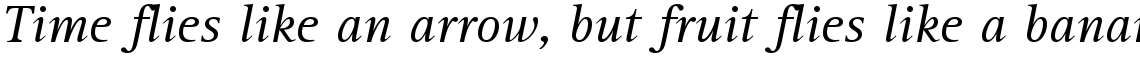 Rotis Serif and Semi-Serif Volume