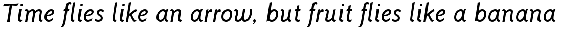 ITC Goudy Sans Complete Family Pack