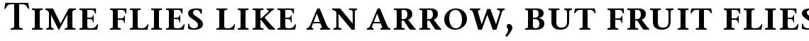 ITC Stone Serif Family Pack