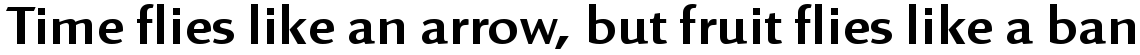 Linex Sans Volume