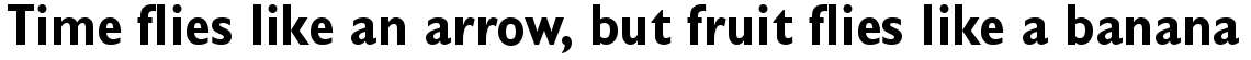 Gill Sans Complete Family Pack