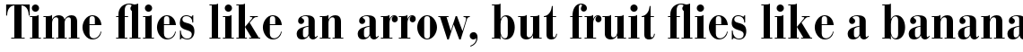 Bauer Bodoni Complete Family Pack