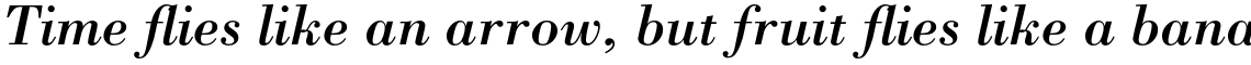 Bodoni Complete Family Pack
