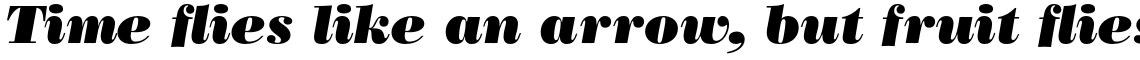 Bodoni Poster Complete Family Pack