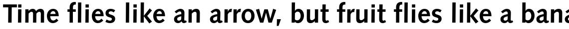 Syntax Complete Family Pack