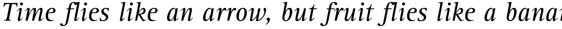 Rotis Serif and Semi-Serif Volume