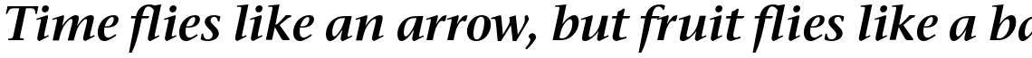 ITC Stone Serif Family Pack