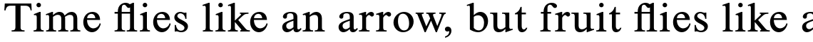 Times New Roman Seven Complete Family Pack