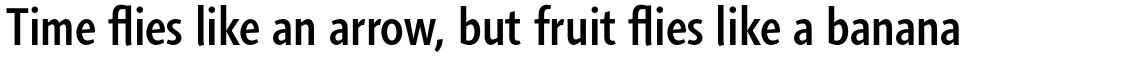 Agilita Condensed Family Pack