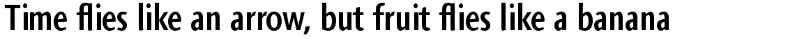 Agilita Condensed 2 Volume