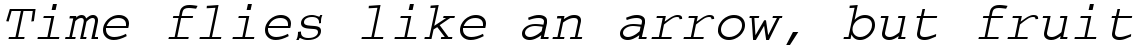 Courier Oblique