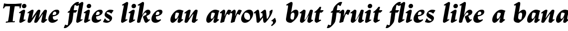 Linotype Trajanus Black Italic