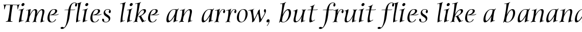ITC Anima Medium Italic