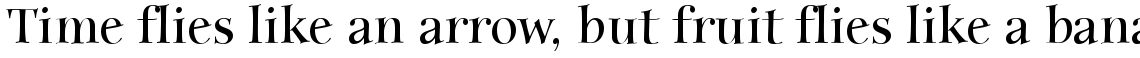 ITC Anima Bold