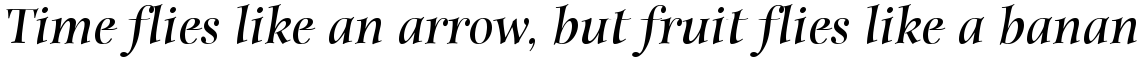 ITC Anima Bold Italic