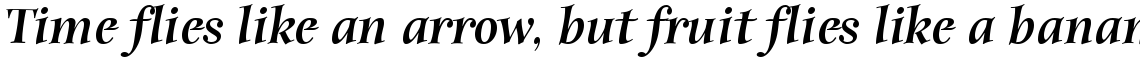 ITC Anima Black Italic