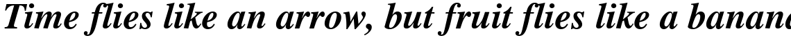 Times Bold Italic