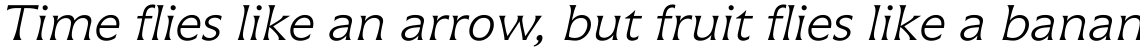 Icone 46 Light Italic