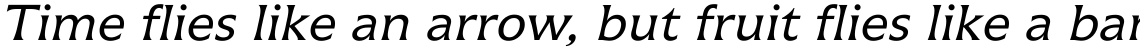 Icone 56 Regular Italic