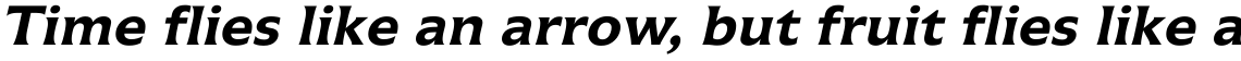 Icone 66 Bold Italic