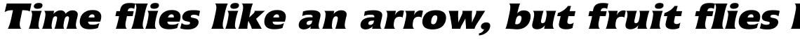 Icone 86 Extra Black Italic