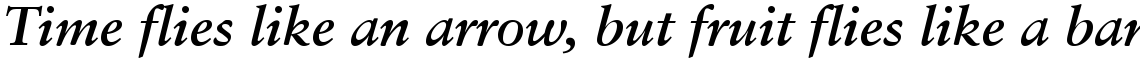 Sabon Cyrillic Bold Italic
