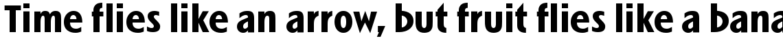 Linotype Spitz Bold