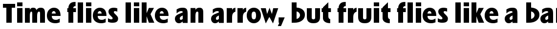 Linotype Spitz Black