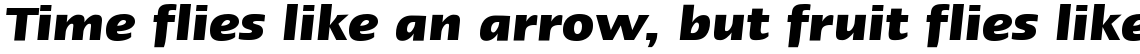 Linotype Ergo Bold Italic