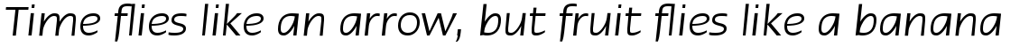 Linotype Ergo Italic