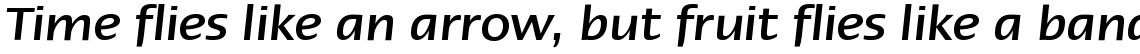 Linotype Ergo Medium Italic