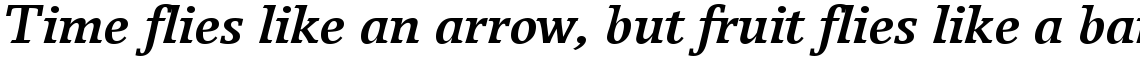 Breughel 66 Bold Italic