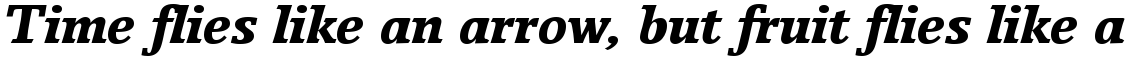 Breughel 76 Black Italic