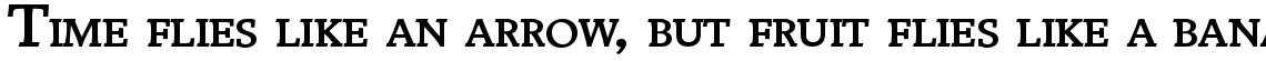 Breughel 65 Bold SC