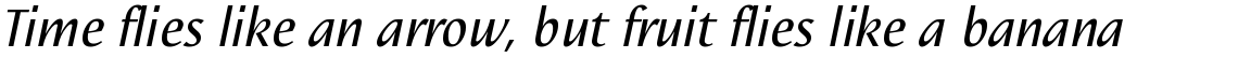 Linotype Nautilus Italic