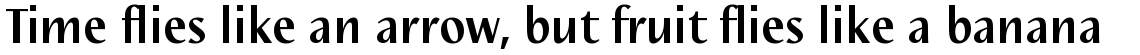 Linotype Nautilus Bold