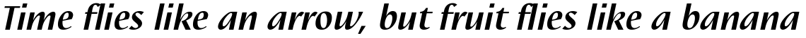 Linotype Nautilus Bold Italic